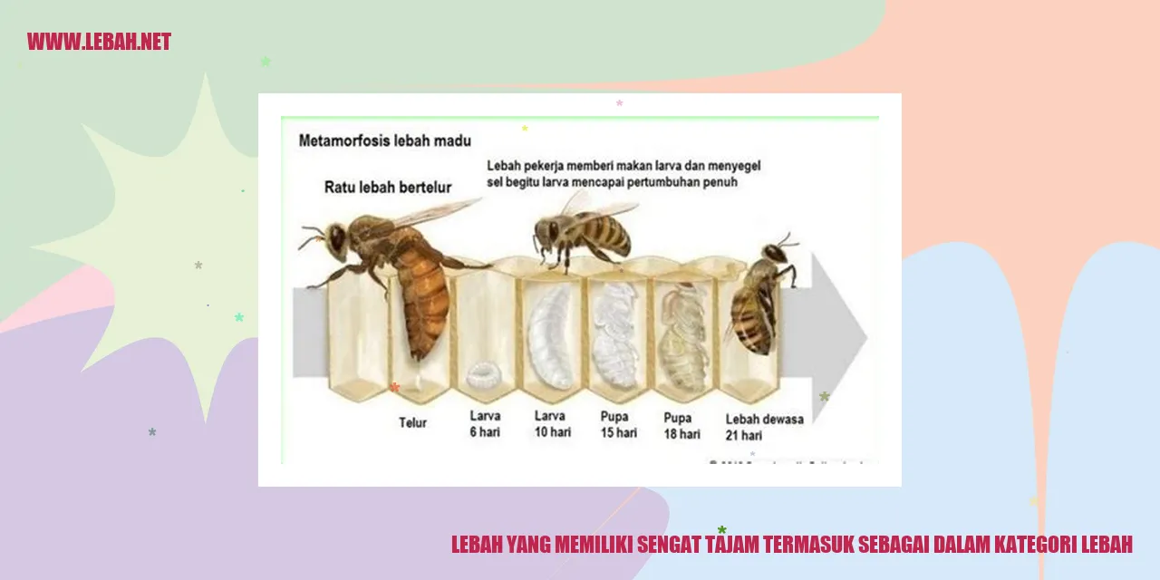 Lebah yang Memiliki Sengat Tajam
