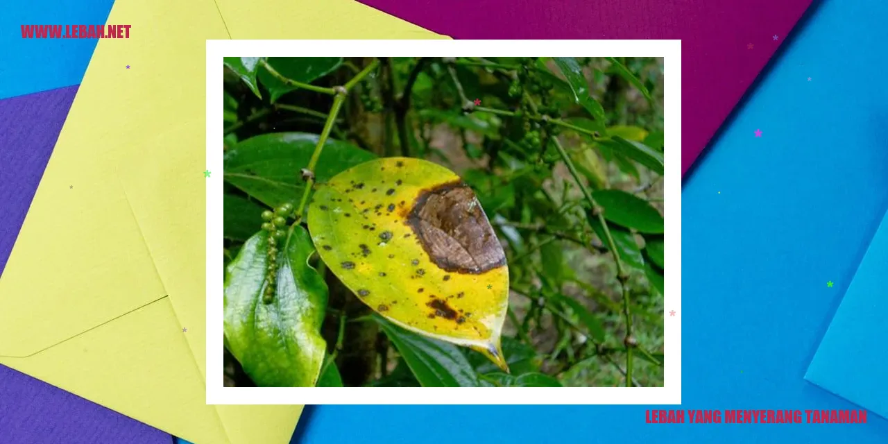 lebah yang menyerang tanaman