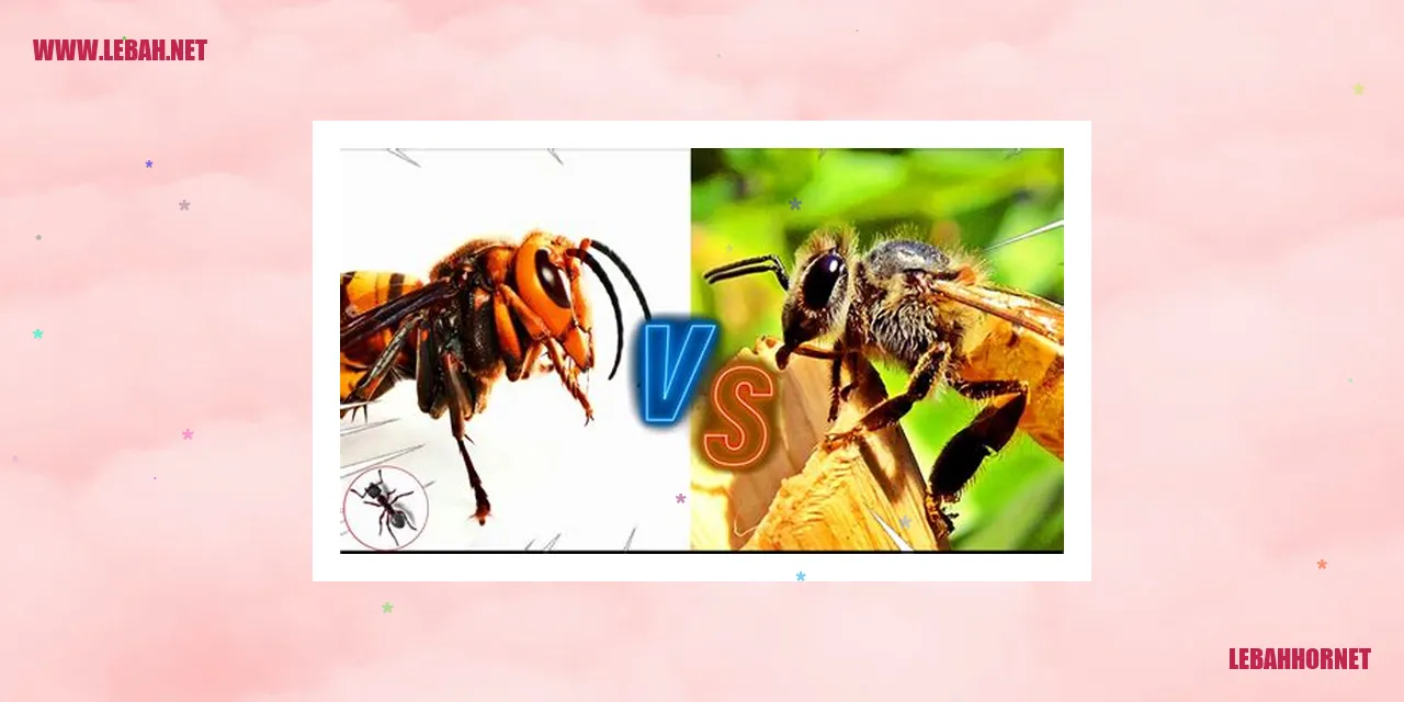 lebah hornet