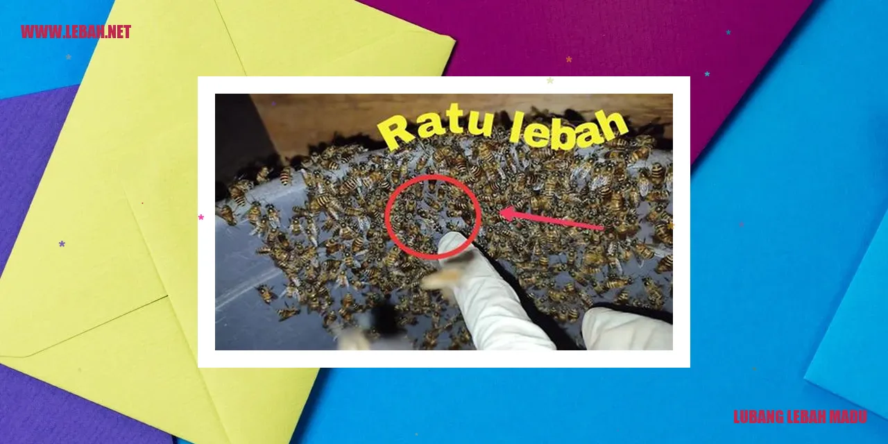 Lubang Lebah Madu