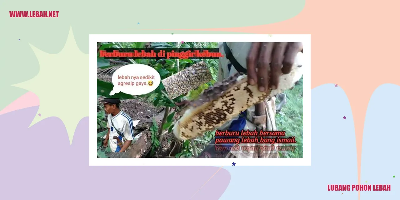 lubang-pohon-lebah