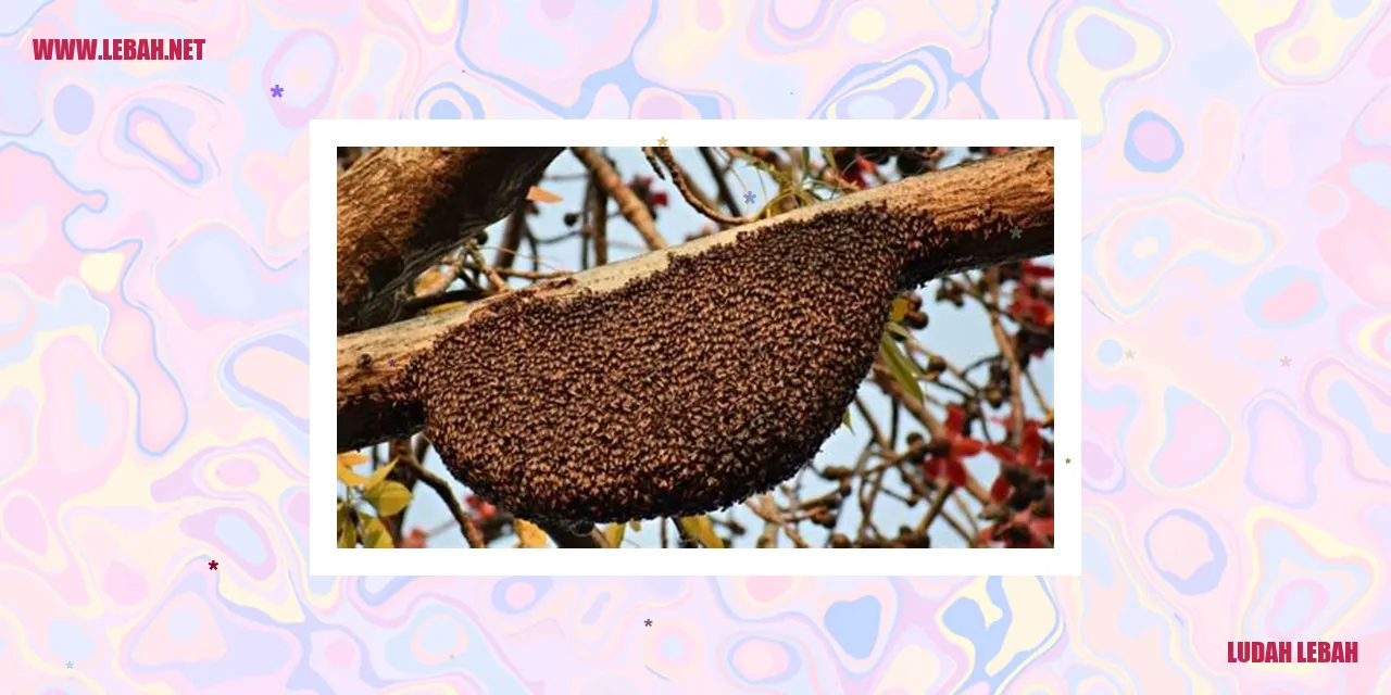 ludah lebah