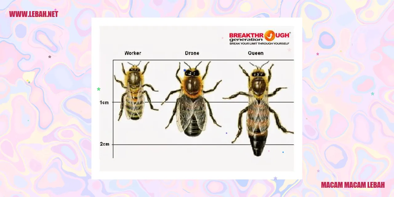 gambar lebah