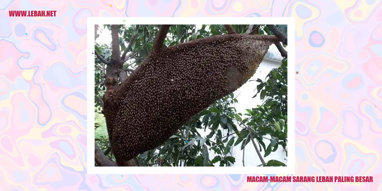 gambar sarang lebah