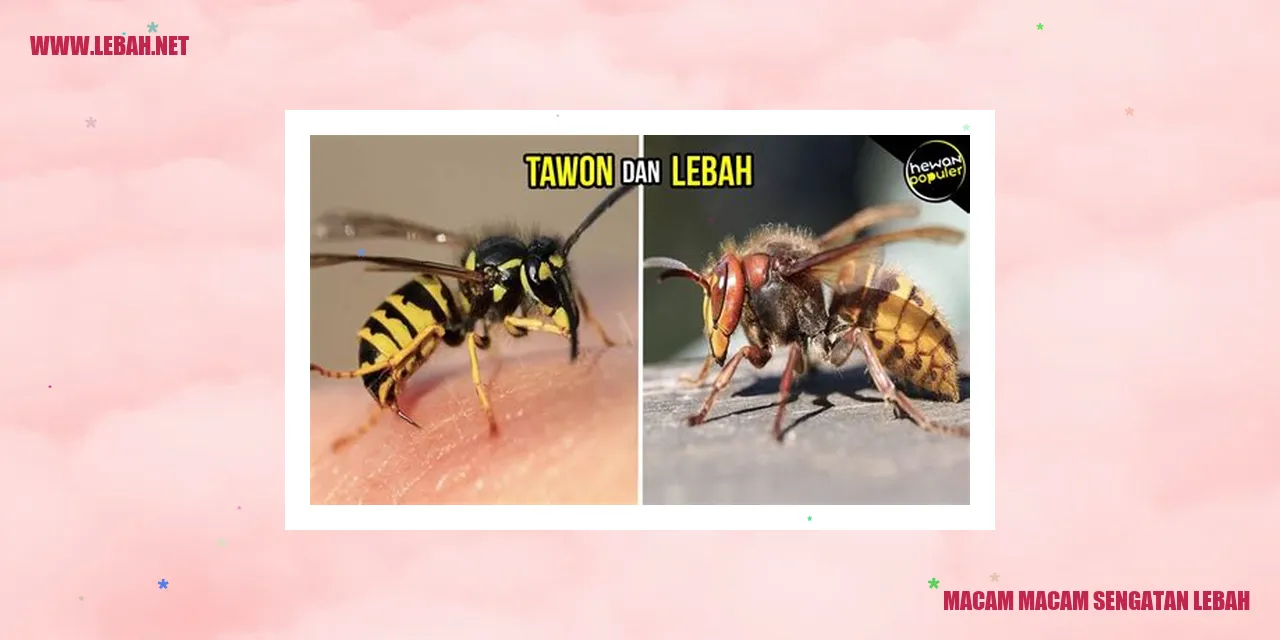 macam-macam sengatan lebah