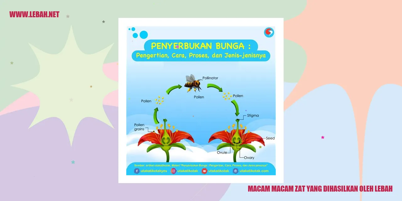 Lebah Menghasilkan Berbagai Macam Zat