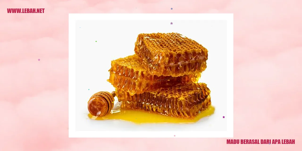 Madu Berasal dari Apa Lebah
