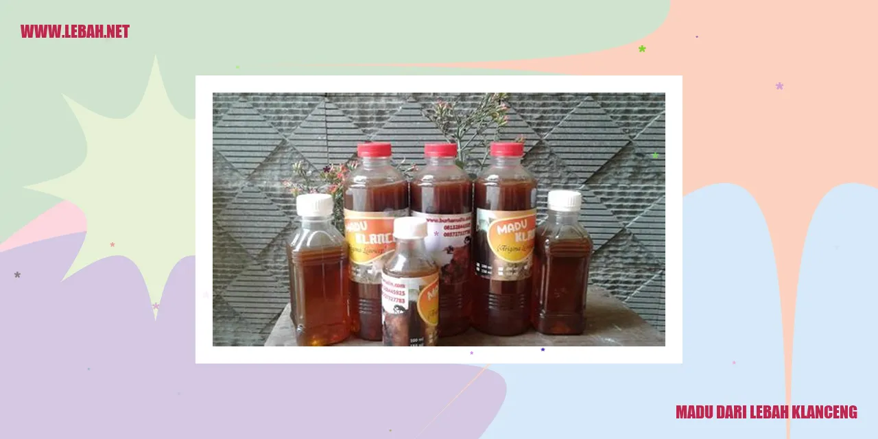 Madu dari Lebah Klanceng