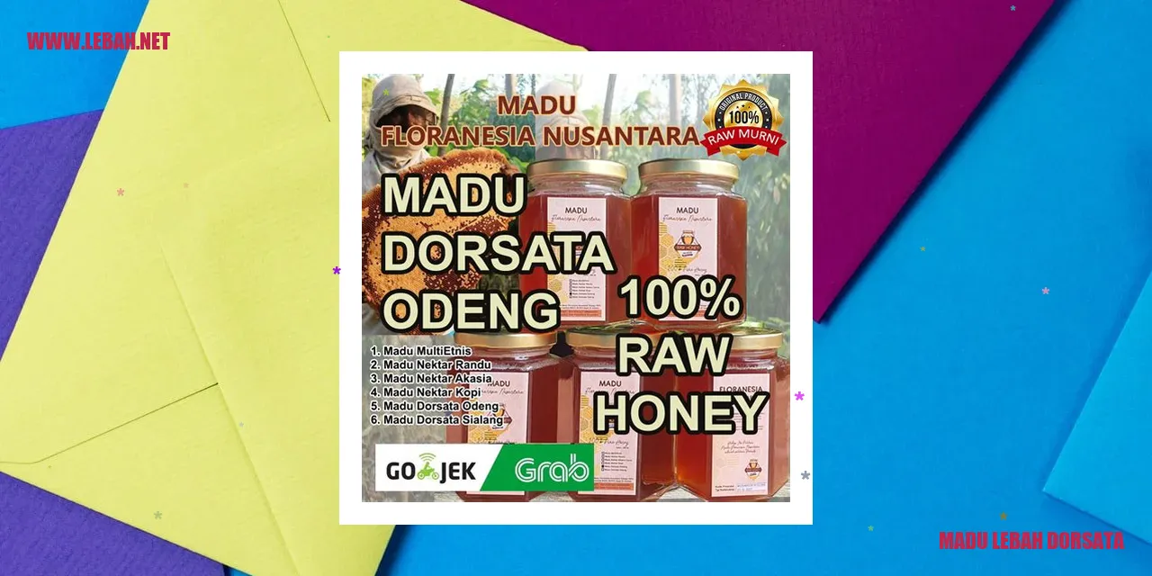 madu lebah dorsata