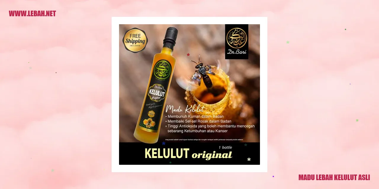 Madu Lebah Kelulut Asli
