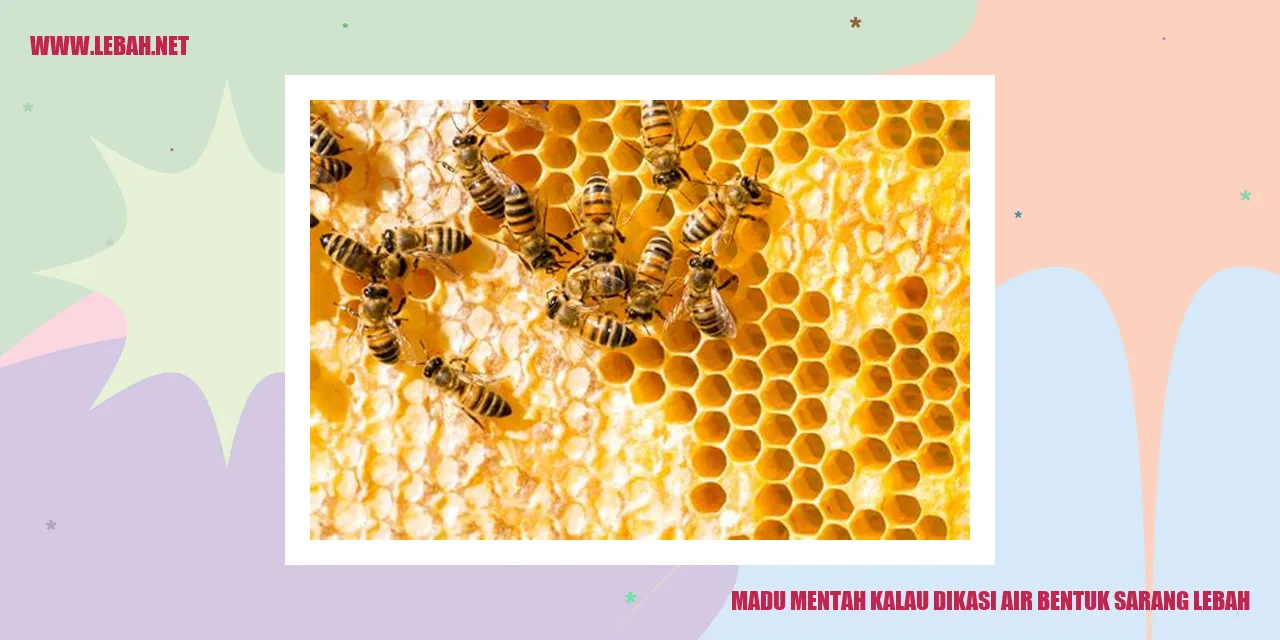 Madu Mentah Kalau Dikasi Air Bentuk Sarang Lebah