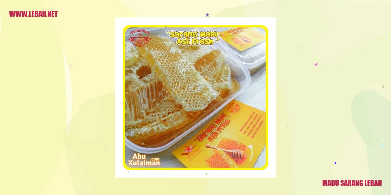madu sarang lebah