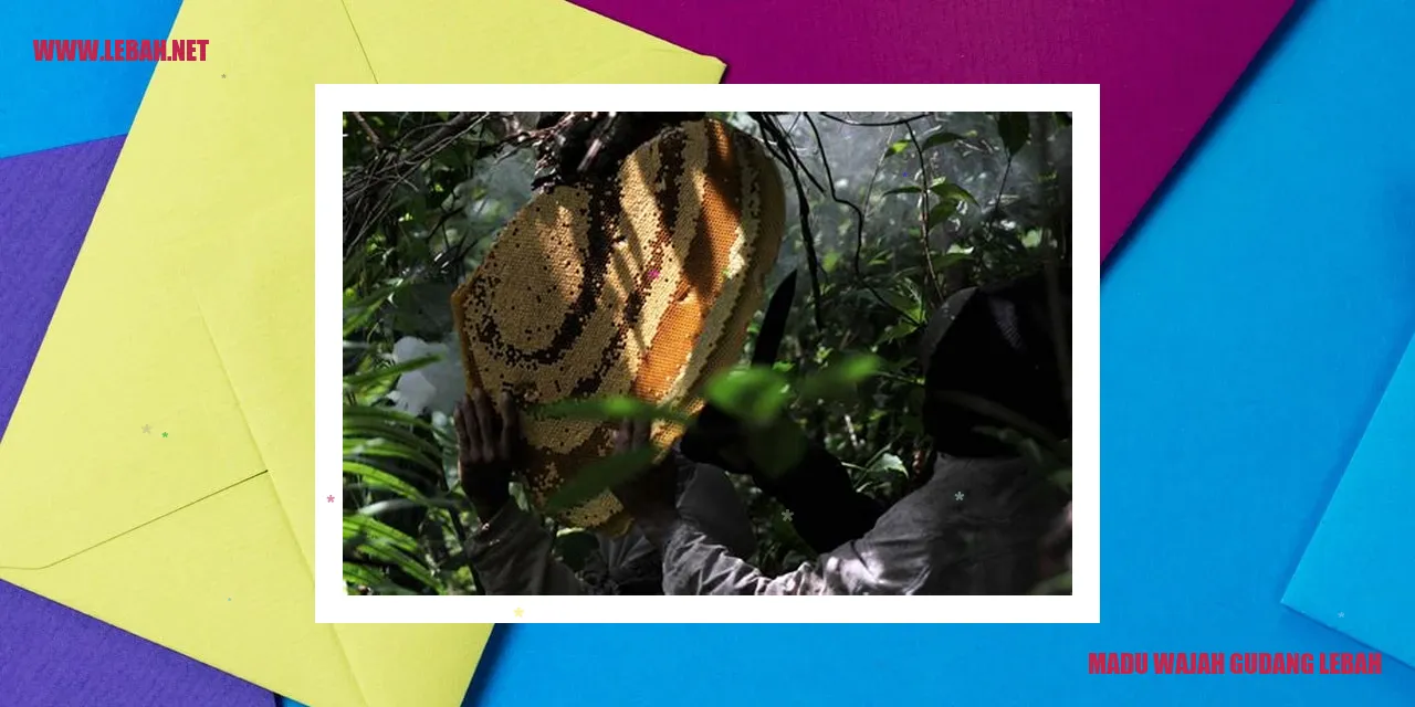 madu wajah gudang lebah