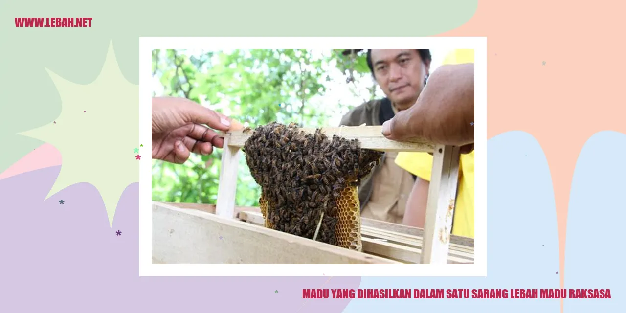 Lebah Madu Raksasa