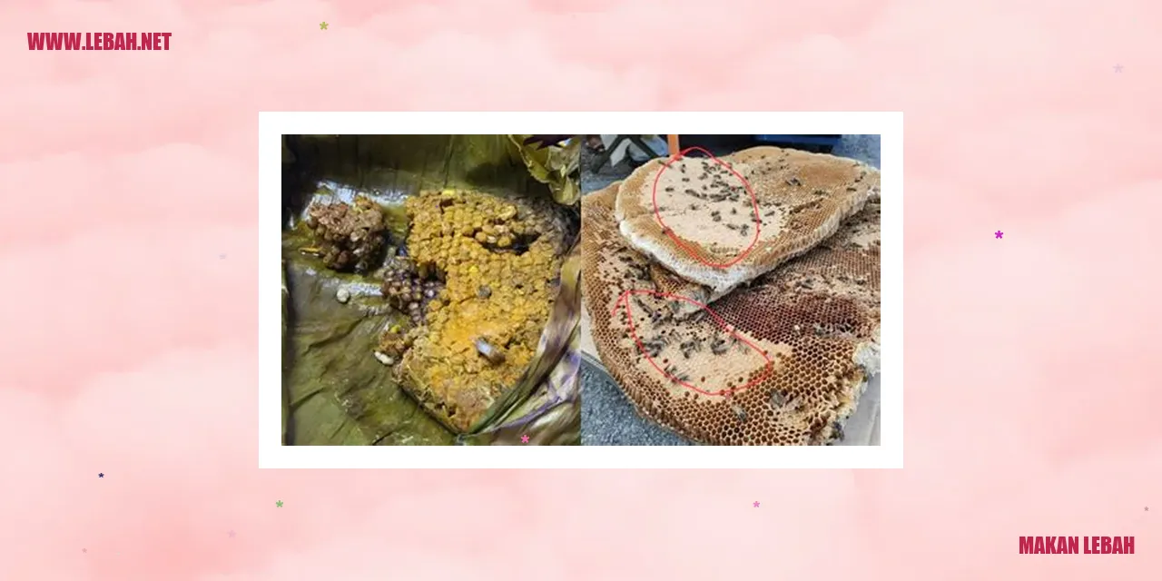 Makan Lebah