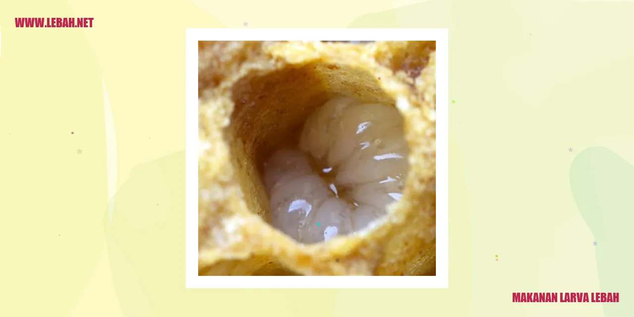 makanan larva lebah