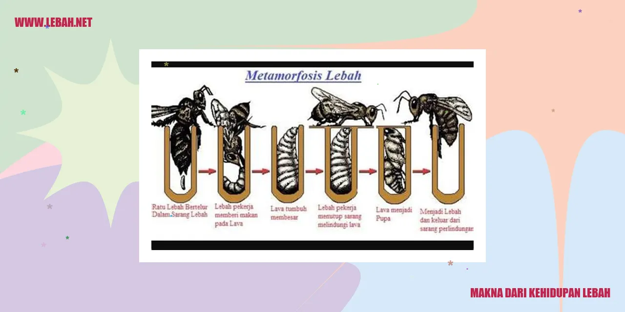 Makna dari Kehidupan Lebah