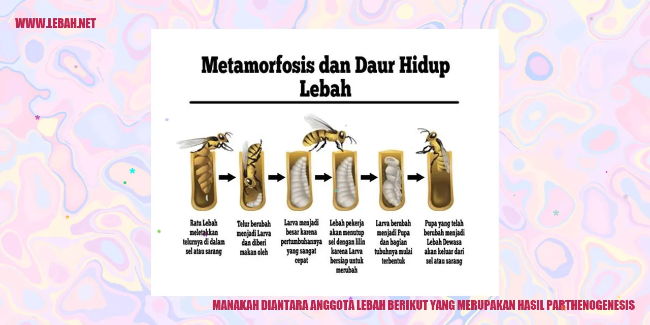 Lebah dan Parthenogenesis