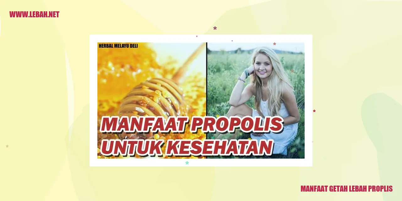 Manfaat Getah Lebah Proplis