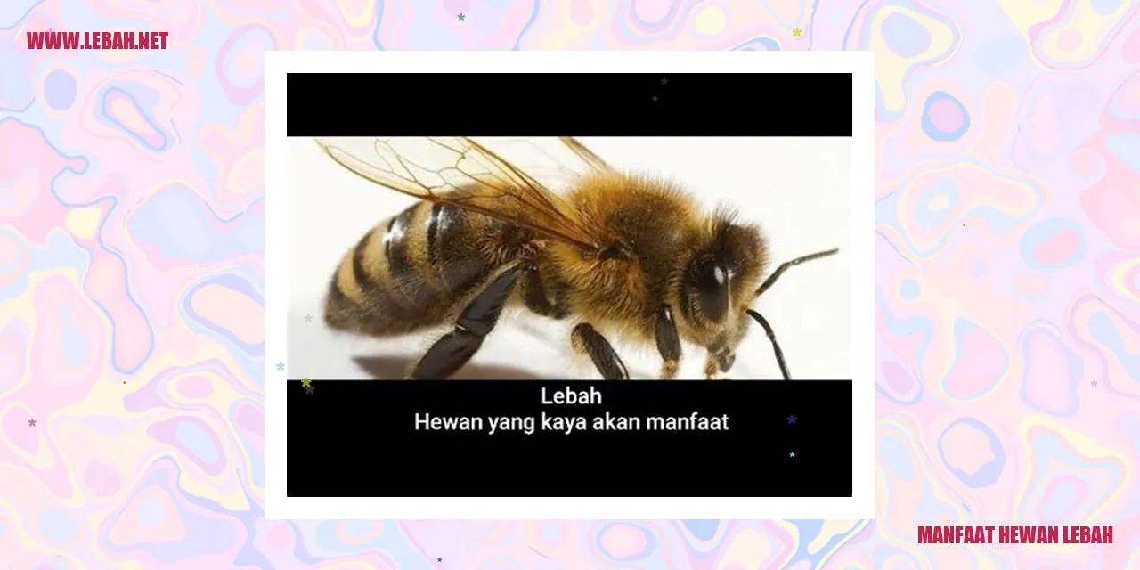 manfaat madu