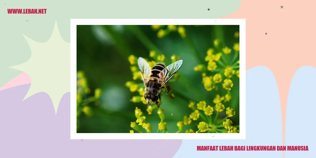 manfaat lebah bagi lingkungan dan manusia