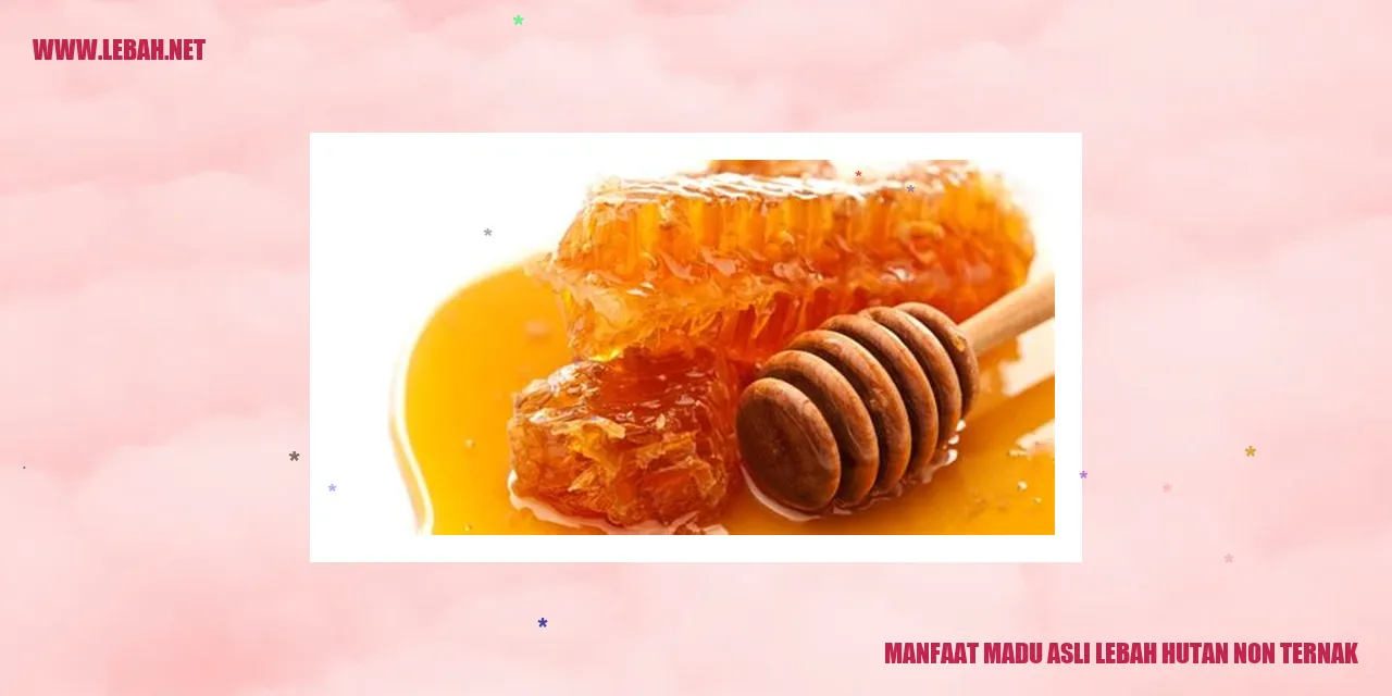 Manfaat Madu Asli Lebah Hutan Non Ternak