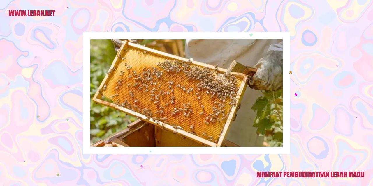 manfaat pembudidayaan lebah madu