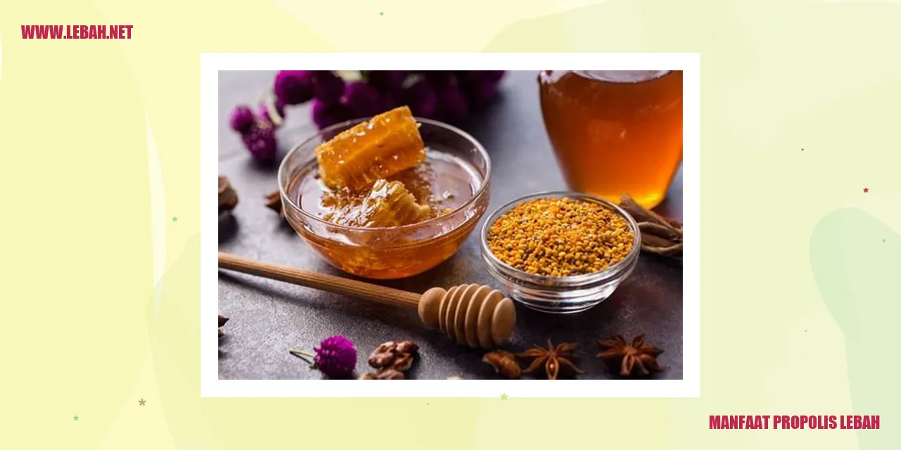 Manfaat Propolis Lebah