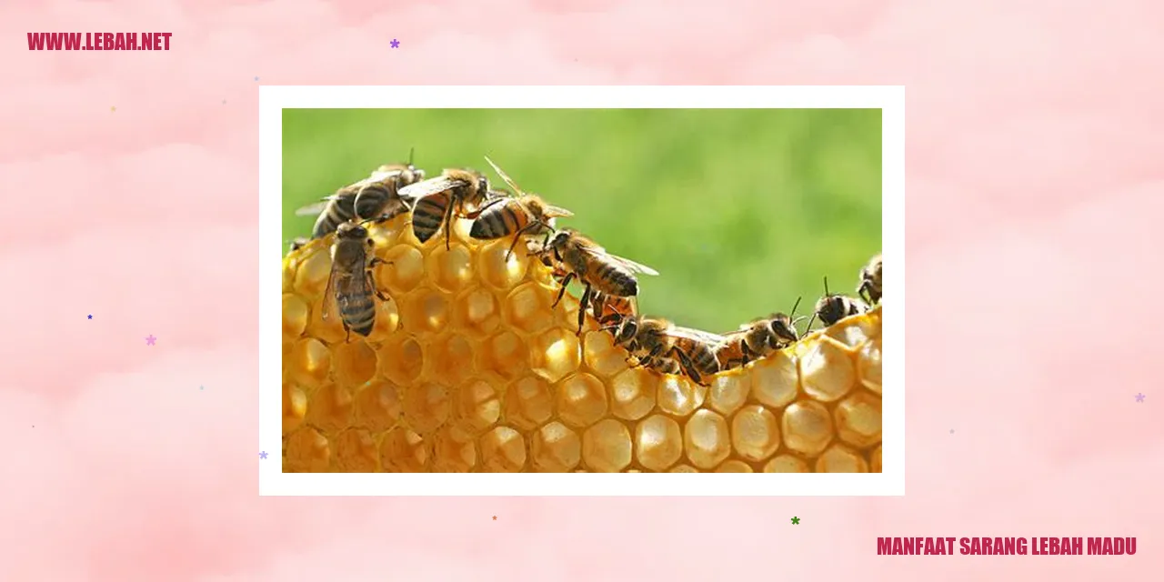 manfaat sarang lebah madu
