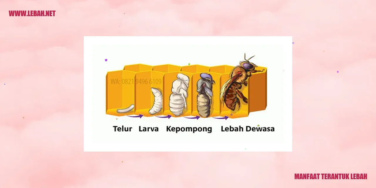 Terantuk Lebah