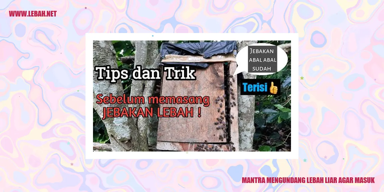 mantra mengundang lebah liar agar masuk