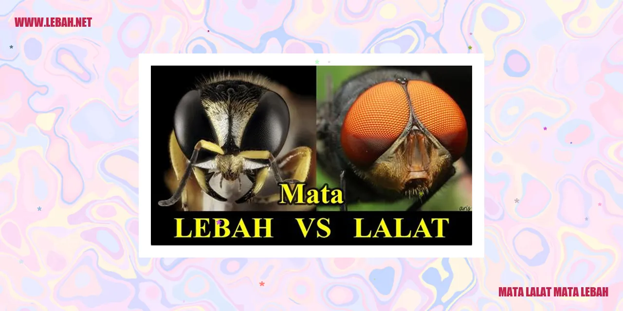 Gambar Mata Lalat Mata Lebah