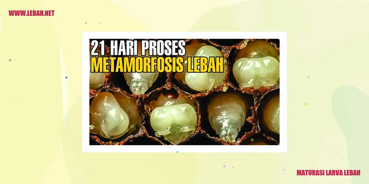 Gambar maturasi larva lebah