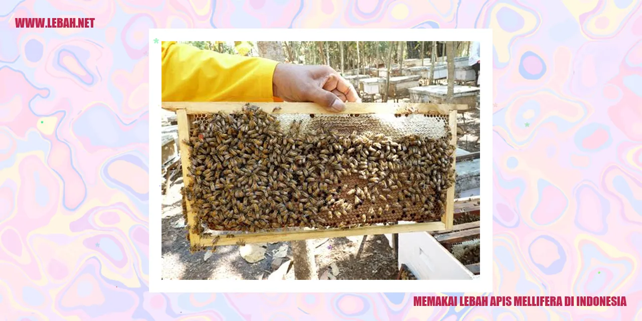 Lebah Apis Mellifera