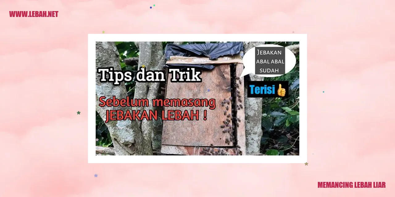 Memancing Lebah Liar