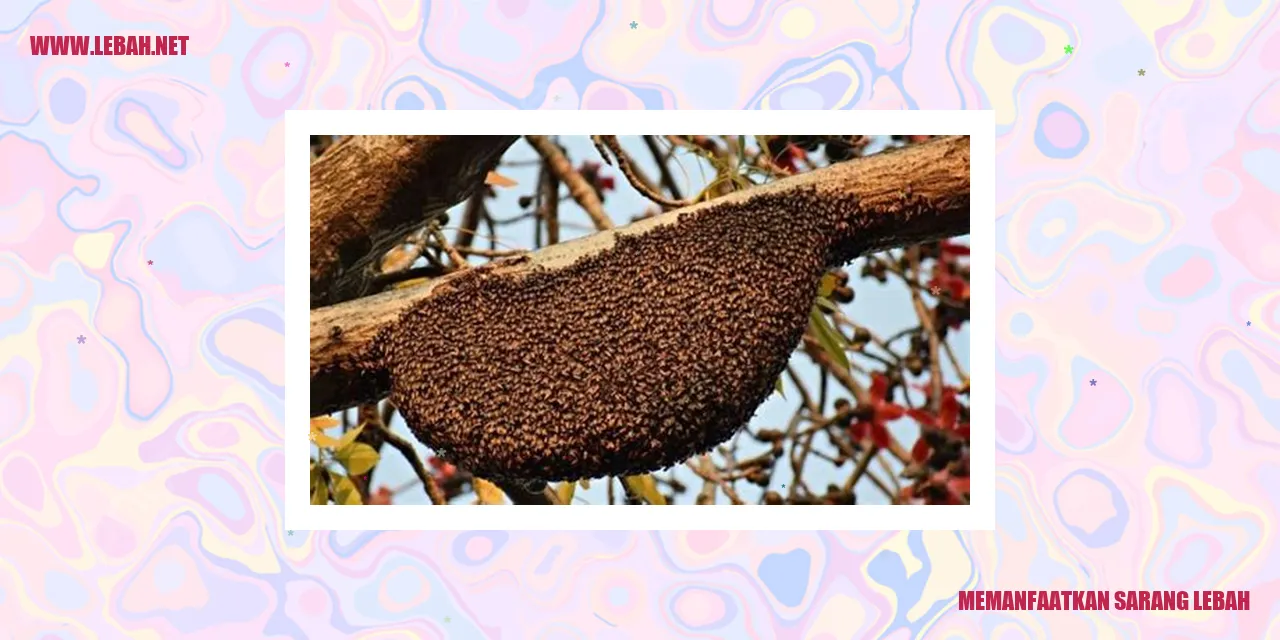 Sarang Lebah