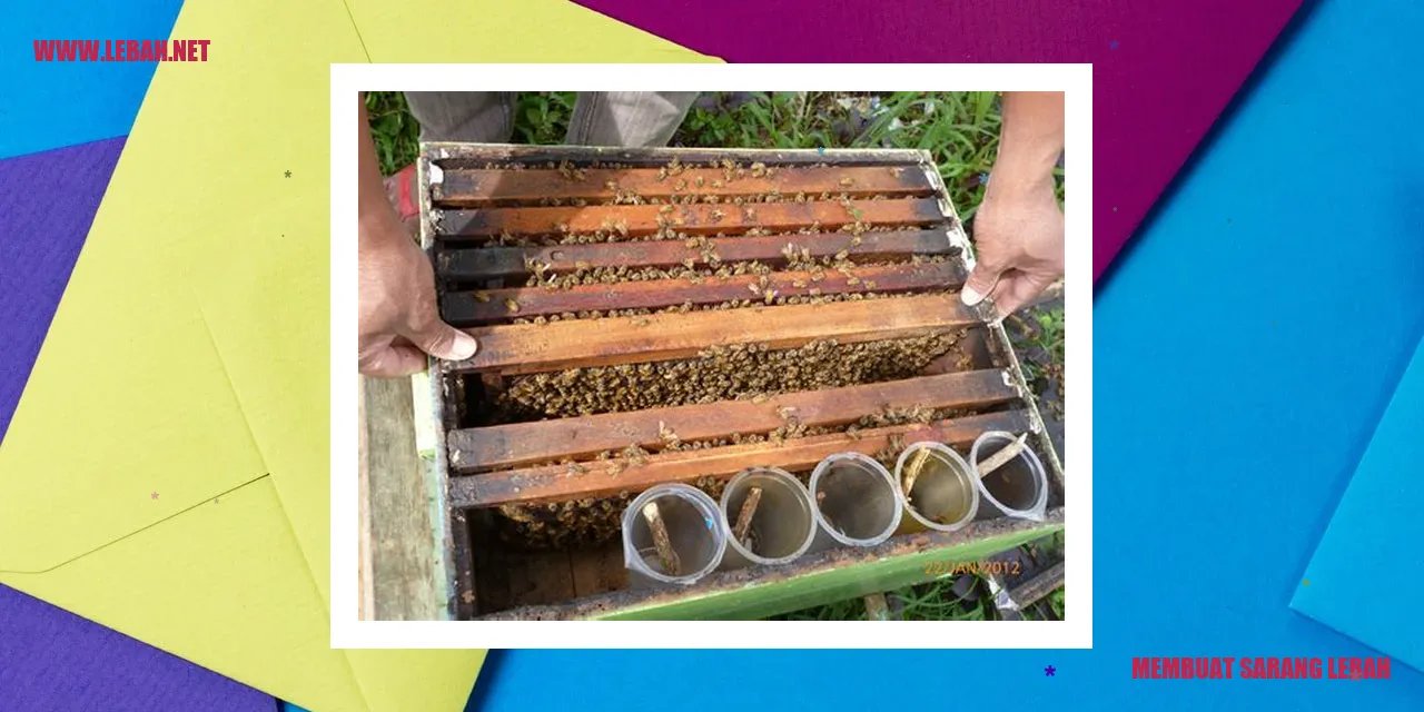 Membuat Sarang Lebah