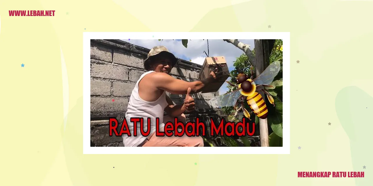 Gambar 1: Koloni Lebah yang Sehat