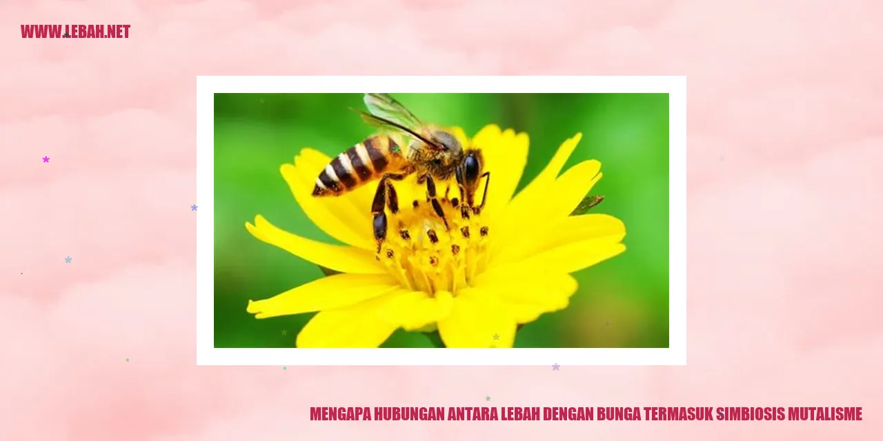 Lebah dan bunga