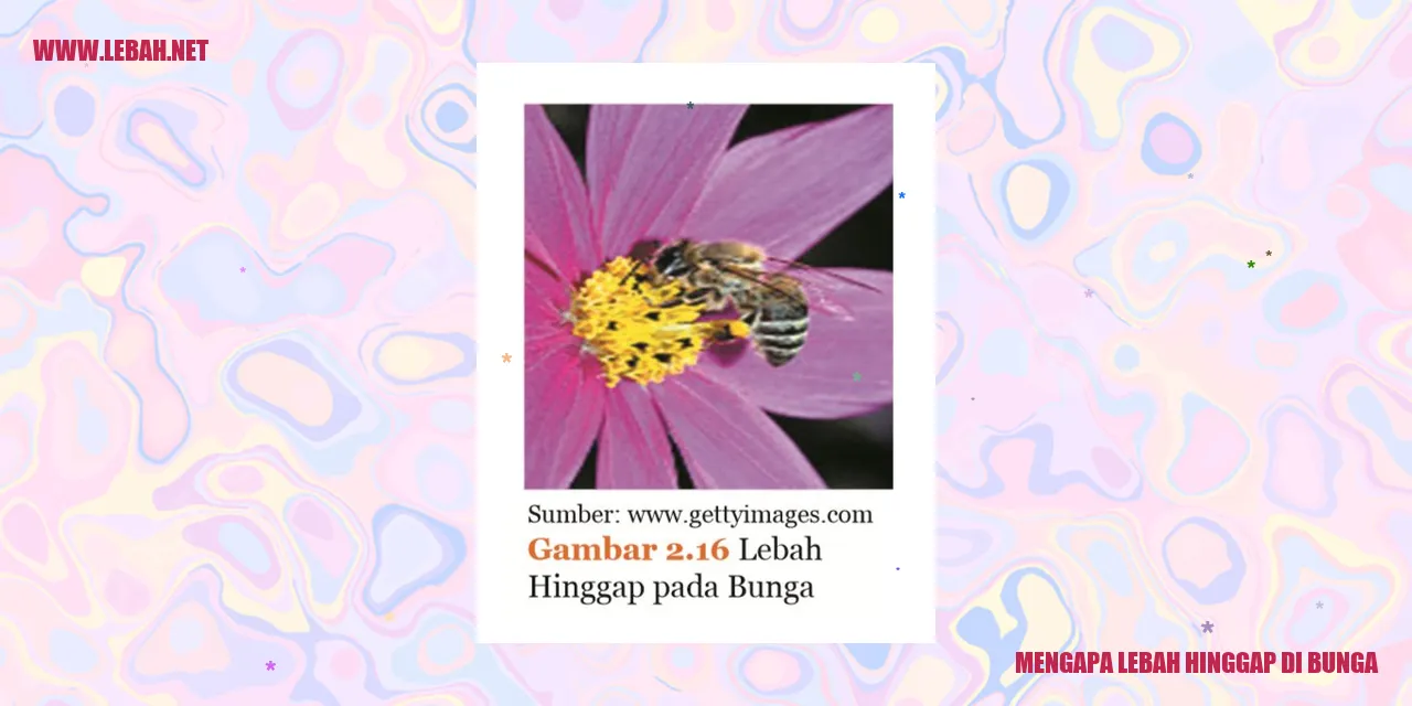 Mengapa Lebah Hinggap di Bunga