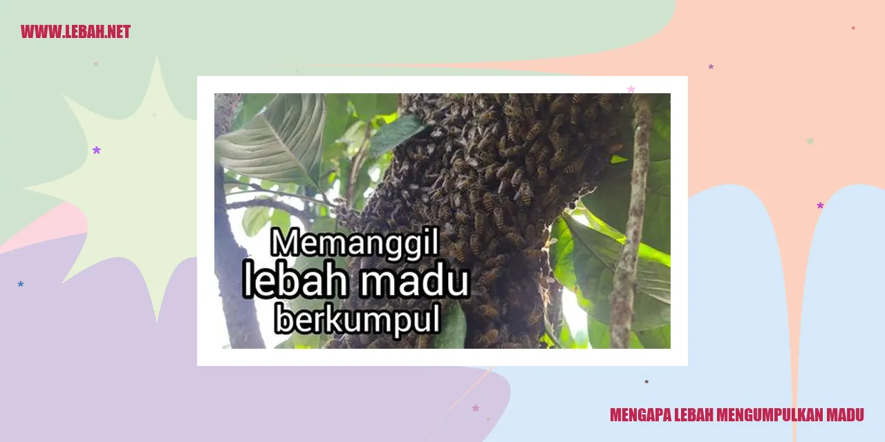 mengapa lebah mengumpulkan madu