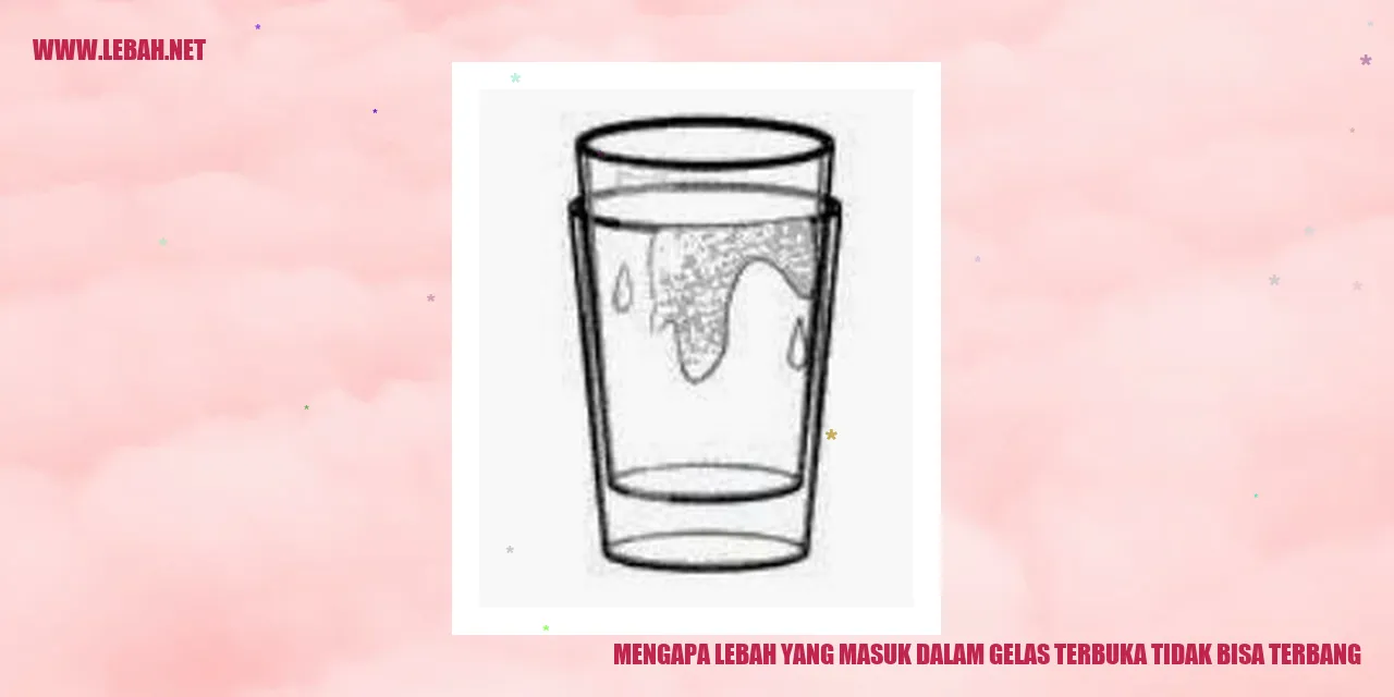 lebah dalam gelas