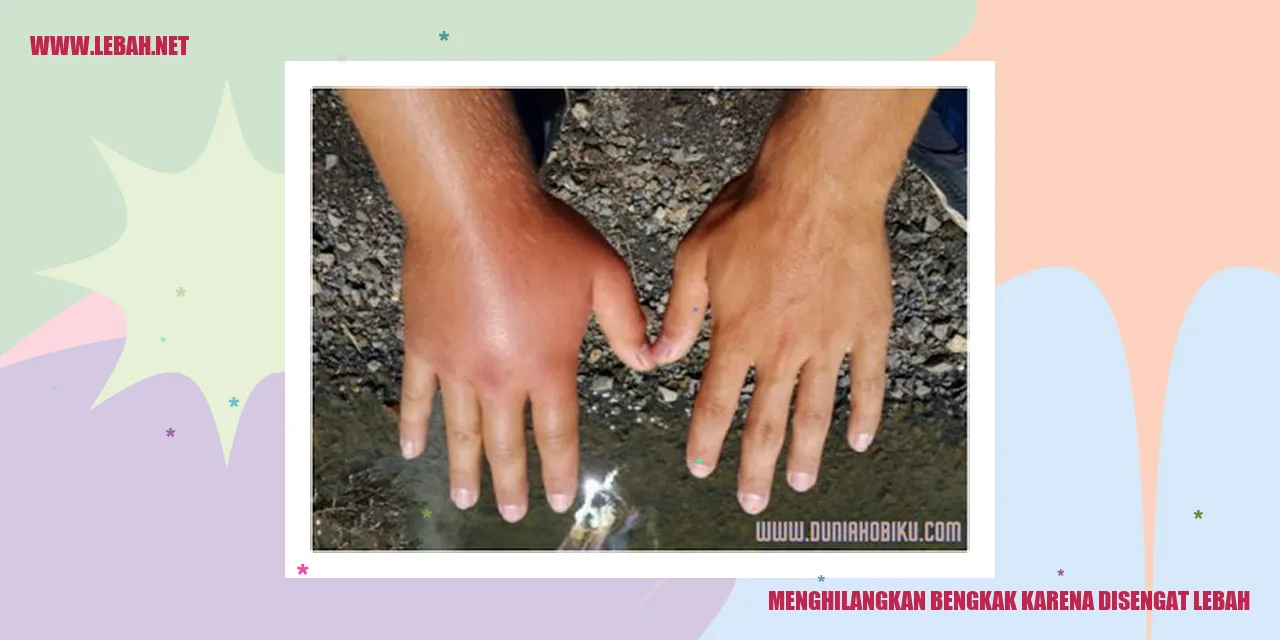 menghilangkan bengkak karena disengat lebah