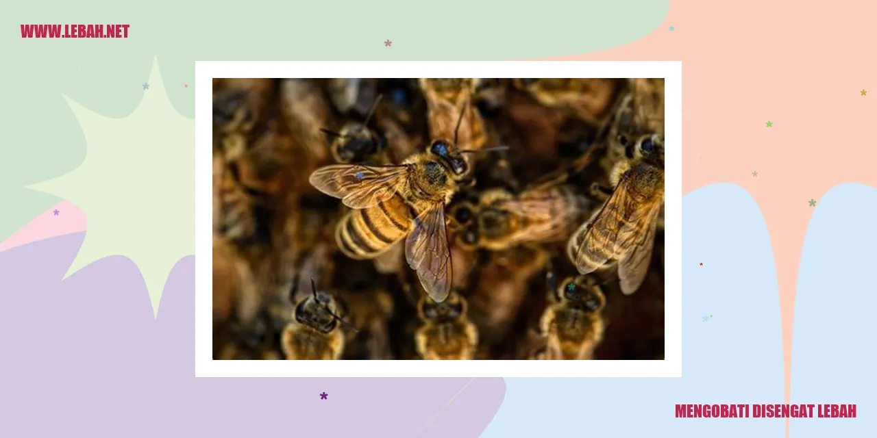 Gambar Lebah