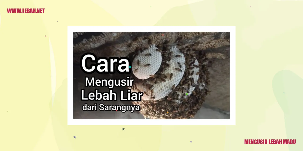 Mengusir Lebah Madu