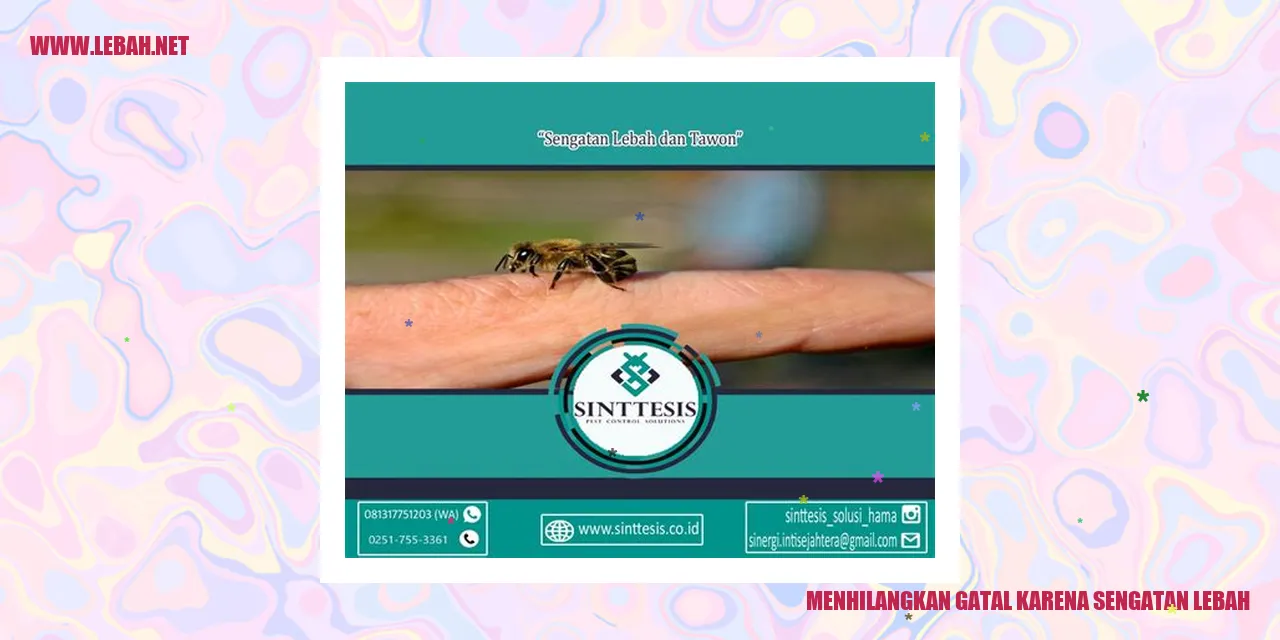 menhilangkan gatal karena sengatan lebah
