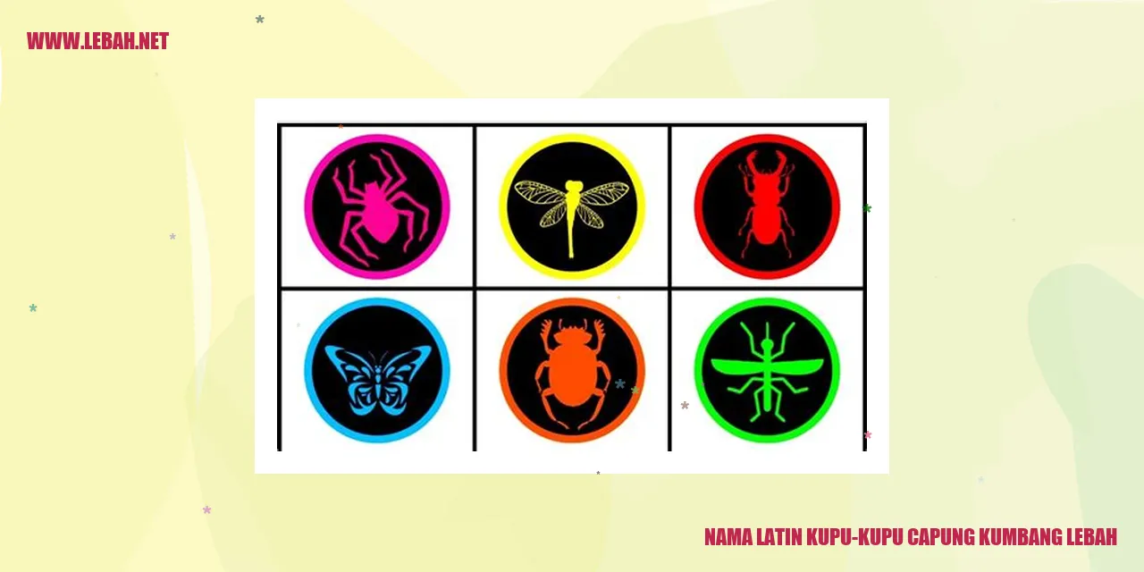 Kupu-kupu