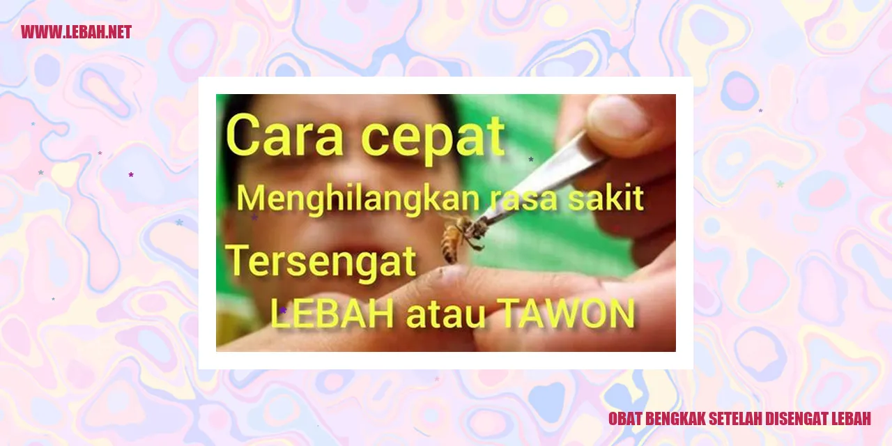 obat bengkak setelah disengat lebah