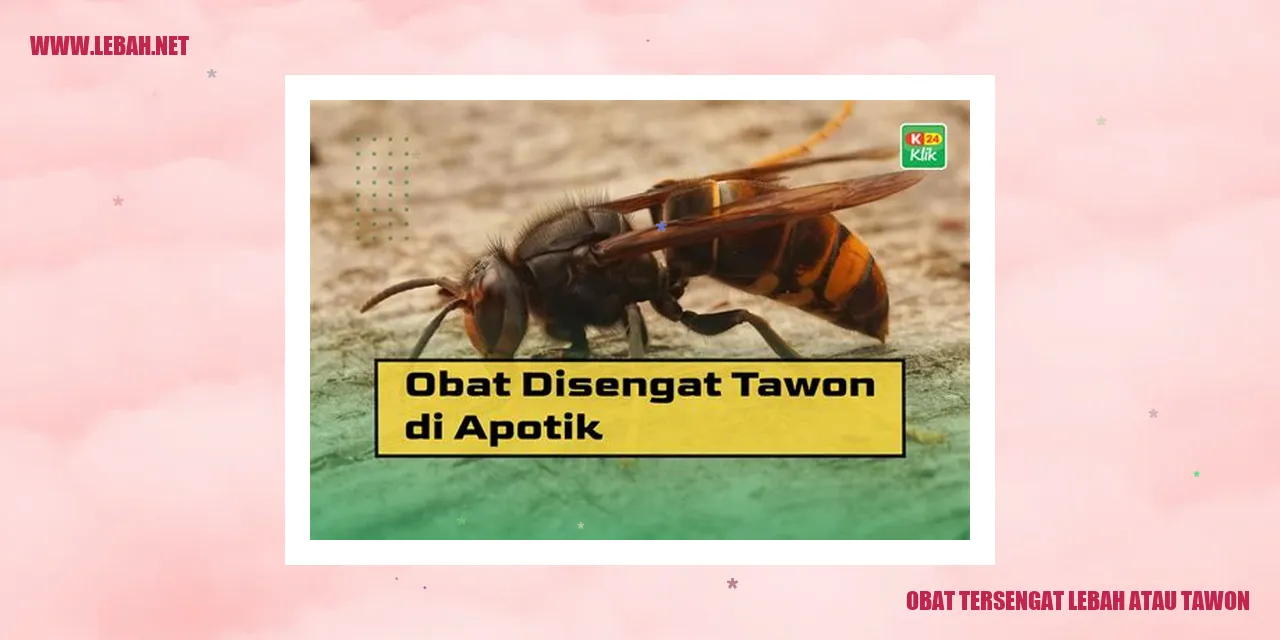 obat tersengat lebah atau tawon