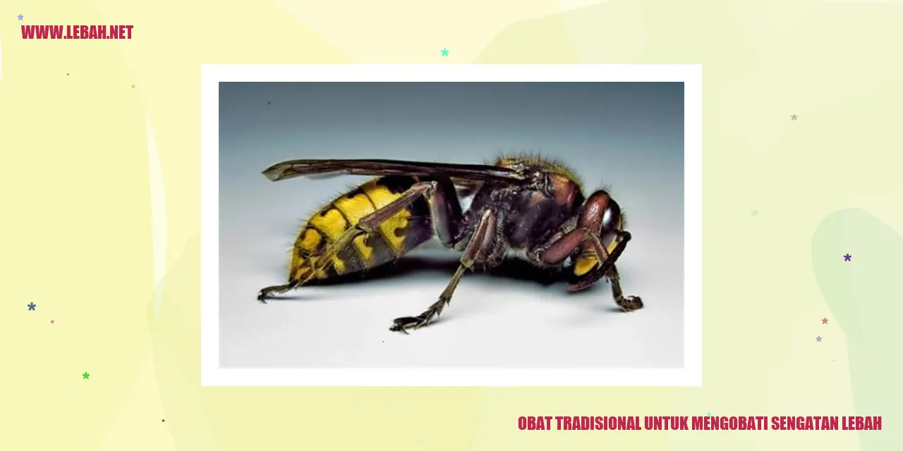 Obat Tradisional untuk Mengobati Sengatan Lebah